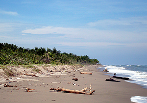 beach